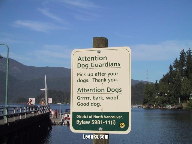 Dog_sign_vg.jpg